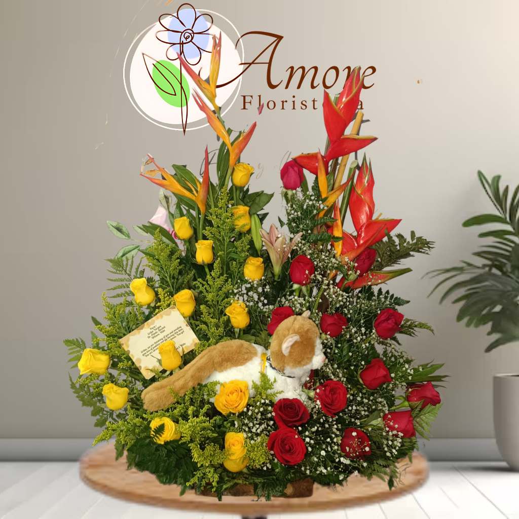 Arreglo Amor Protector