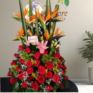 Arreglo Impacto Tropical